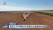 黑龙江今年将重点打造践行大食物观先行地