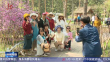 春天花会开｜缤纷“五一” 不负春光