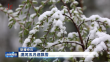 漠河五月迎飘雪