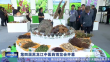 第四届黑龙江中医药博览会开幕