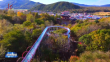 五花山色染金秋