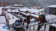 冰天雪地也是金山银山｜纵情冰雪 尽享冬韵