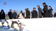 梁惠玲：发挥特色优势大力发展冰雪旅游 加快推动冰雪经济高质量发展
