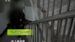 三农直播间