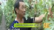 帮忙