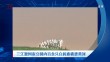 共度晨光