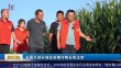 共度晨光