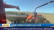共度晨光