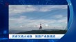 共度晨光