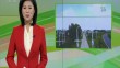 三农直播间