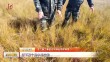 共度晨光
