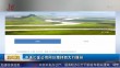共度晨光