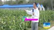 三农直播间