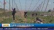 共度晨光