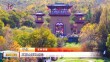 共度晨光