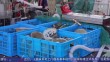 共度晨光