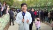 共度晨光