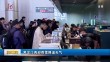 共度晨光