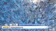 共度晨光
