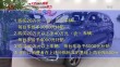 共度晨光